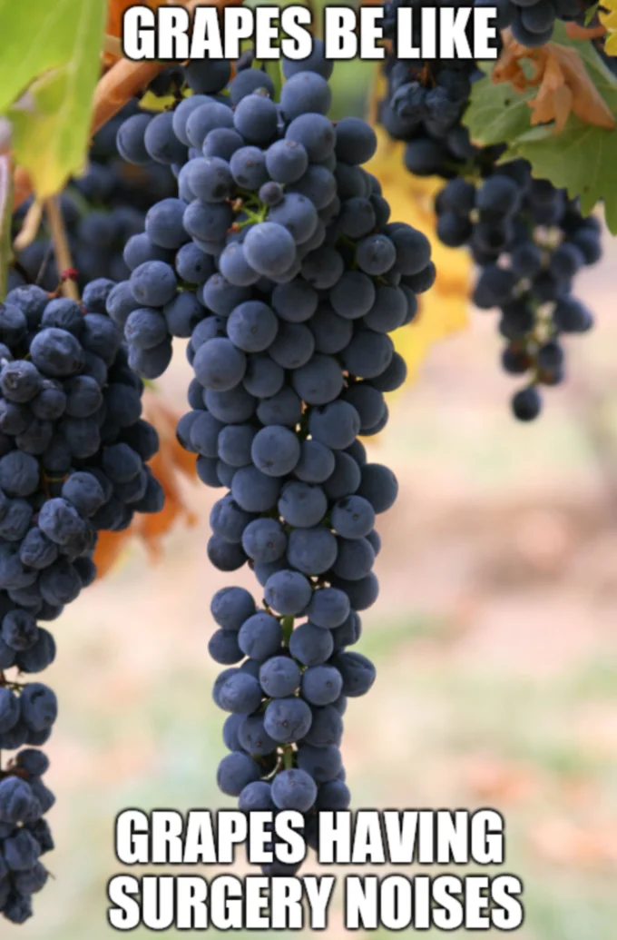 They Did Surgery on a Grape — Photo of dark purple grapes on vine with meme text reading 'GRAPES BE LIKE' and 'SURGERY NOISES.'