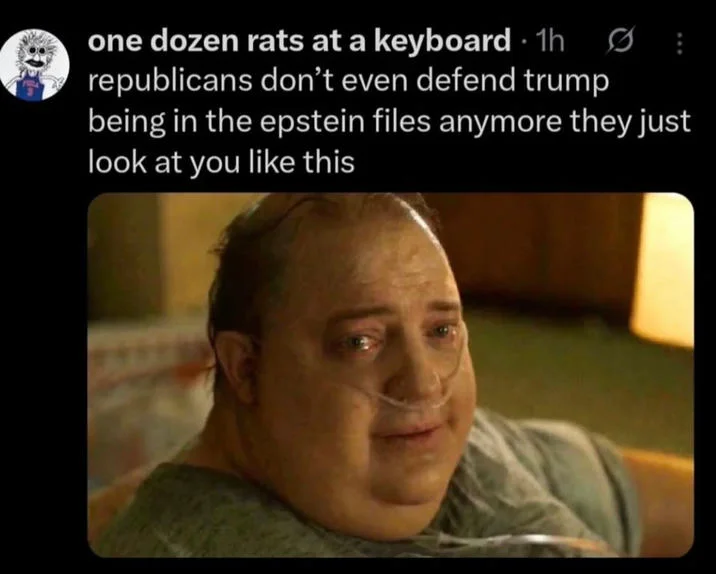 They Just Look At You Like This — Tweet captioned about Republicans and the Epstein files, paired with a still of Brendan Fraser from The Whale.