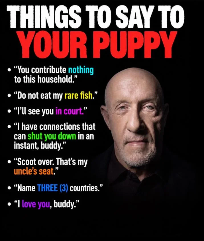 Things To Say To Your Puppy meme featuring Jonathan Banks as Mike Ehrmantraut with bulleted list of phrases