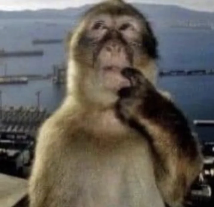 Cropped Thinking Monkey image