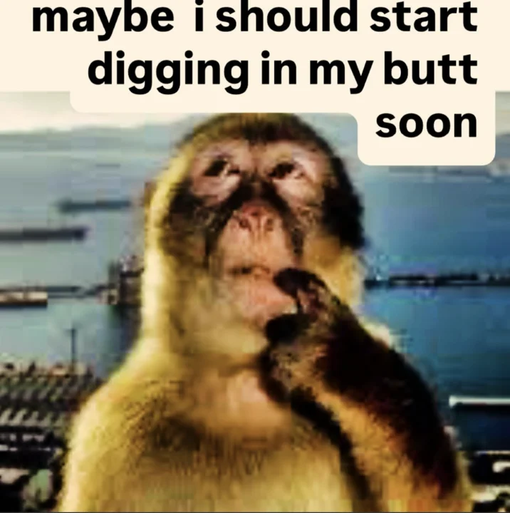 Thinking Monkey meme with crude humor caption