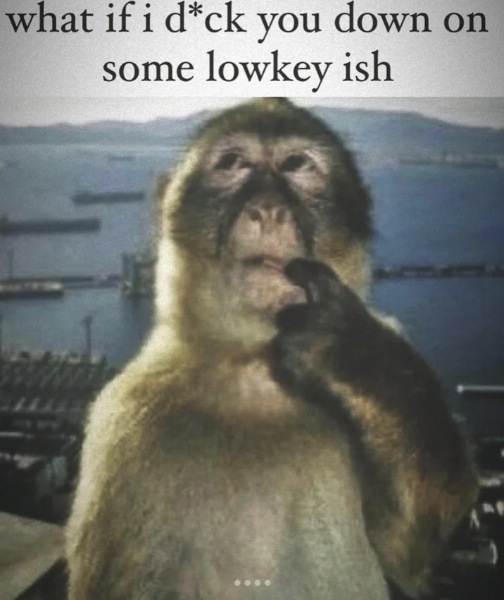 Thinking Monkey meme with suggestive caption text