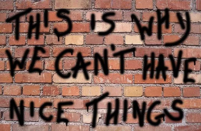 Brick wall with 'This Is Why We Can't Have Nice Things' spray-painted in black