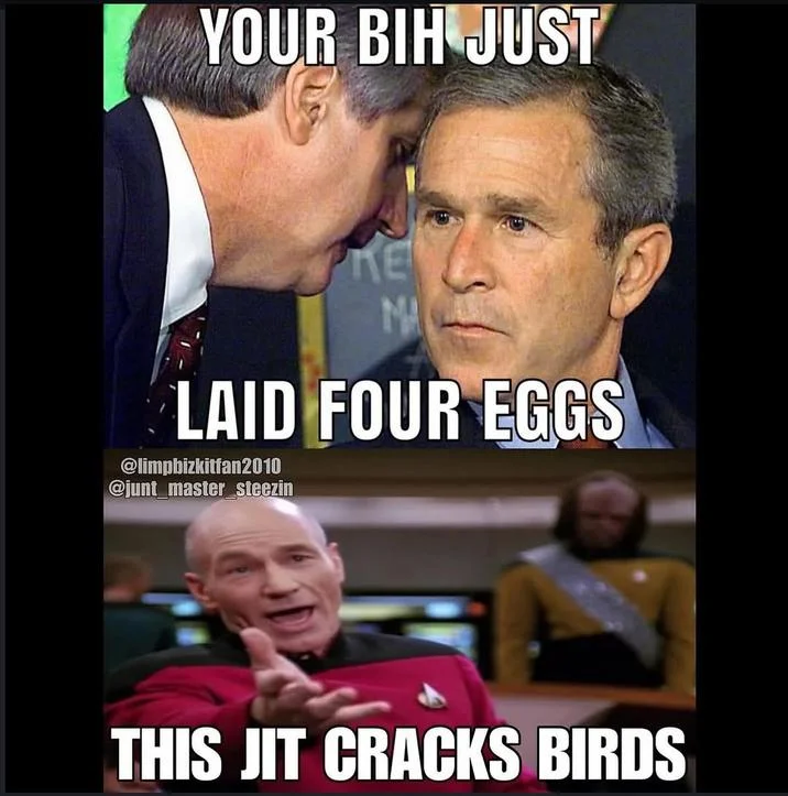 The original This Jit Cracks Birds "meme":https://knowyourmeme.com/memes/memes, showing "George Bush Learning About