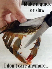 This Kills The Crab — Meme featuring crab showing dark acceptance about quick or slow cutting.