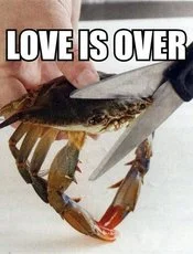 This Kills The Crab — Minimalist meme with brief text expressing crab's emotional devastation.