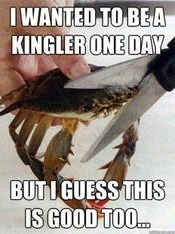 This Kills The Crab — Meme with white impact text contrasting wanting to become Kingler crab Pokémon with its fate.