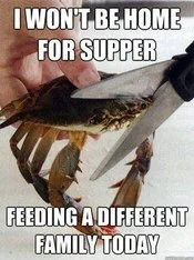 This Kills The Crab — Dark humor meme about crab not being home for supper because it feeds another family.