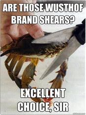 This Kills The Crab — Meme featuring humorous dialogue about Wüsthof brand shears for crab cutting.