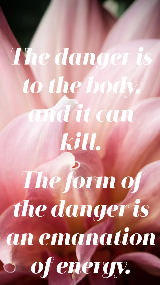 This Place Is Not A Place Of Honor — Ominous nuclear semiotics text overlaid on close-up photograph of pink dahlia flower.