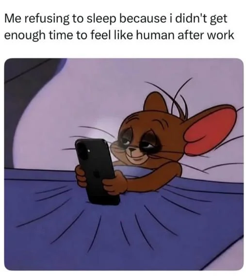 This Sleepy Jerry Meme Has Completely Taken Over the Internet — Cartoon Jerry mouse lying awake on his phone with a relatable caption about avoiding sleep