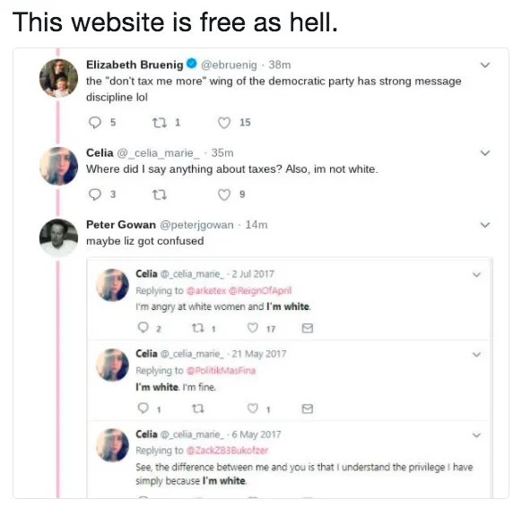 This Website Is Free — Mr. Incredible glory days scene with wall filled with classic meme formats and caption about memes lasting longer than a week