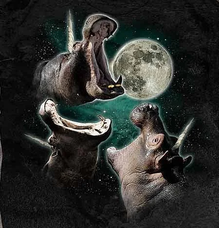 Three Wolf Moon — Three hippopotamuses howling at the moon parody design