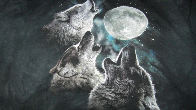 Three Wolf Moon — Three wolves howling at a full moon on a black t-shirt design