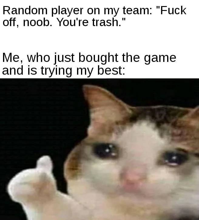 Thumbs Up Crying Cat — Meme about being called trash by a random teammate with the crying thumbs up cat image