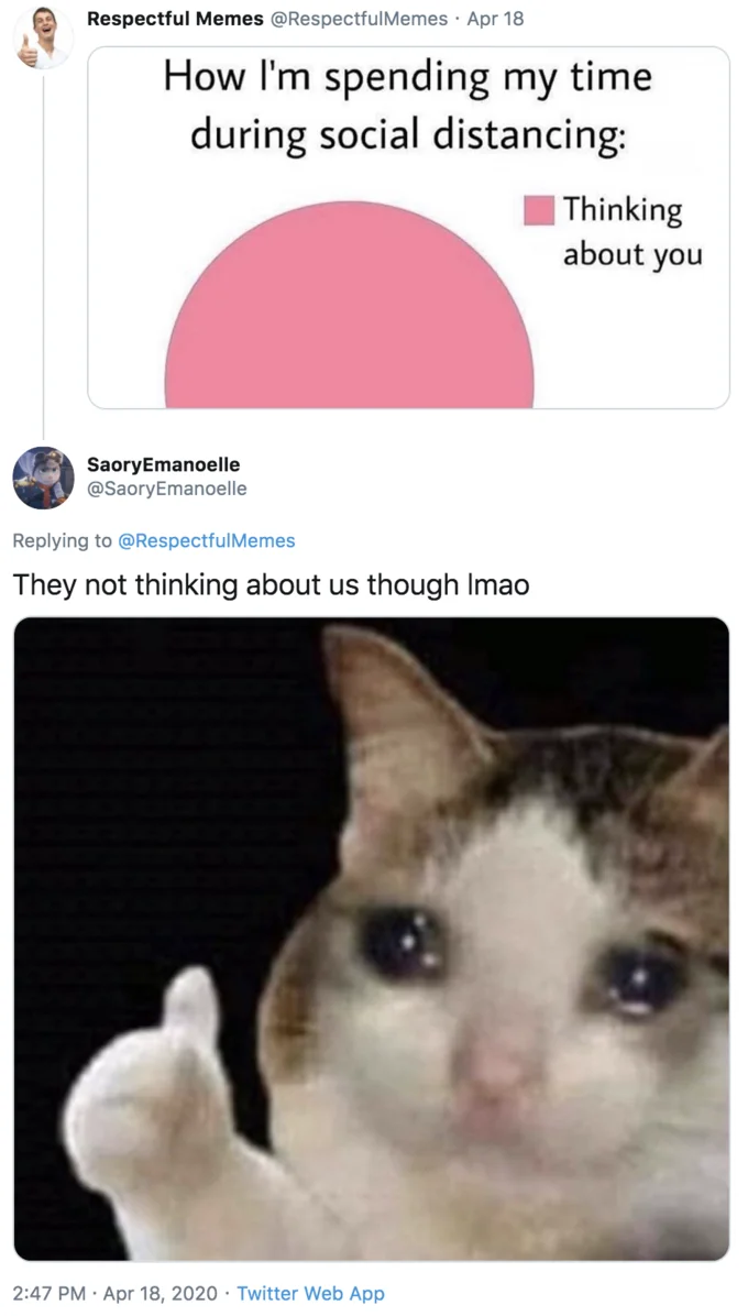 Thumbs Up Crying Cat — Twitter reply with the caption 'they not thinking about us though' and the crying thumbs up cat image