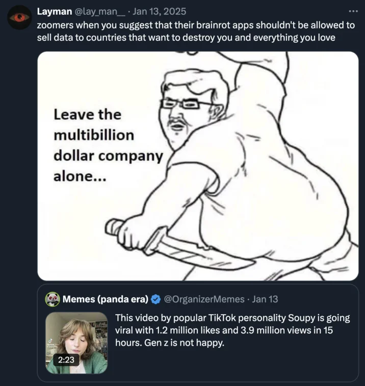 TikTok Ban — Twitter screenshot with cartoon meme defending TikTok multibillion company.