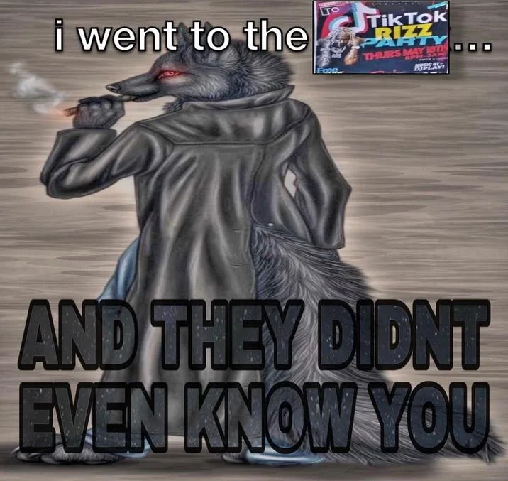 Lonely wolf meme with TikTok Rizz Party flyer joke about being unknown