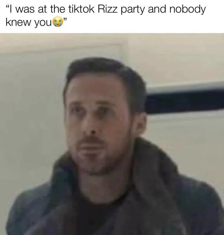 Ryan Gosling Blade Runner reaction meme about TikTok Rizz Party