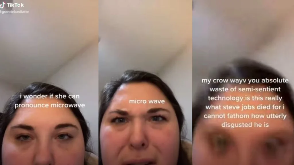 TikTok Text-to-Speech — TikTok screenshot showing robotic text-to-speech misinterpreting microwave as absurd variations.