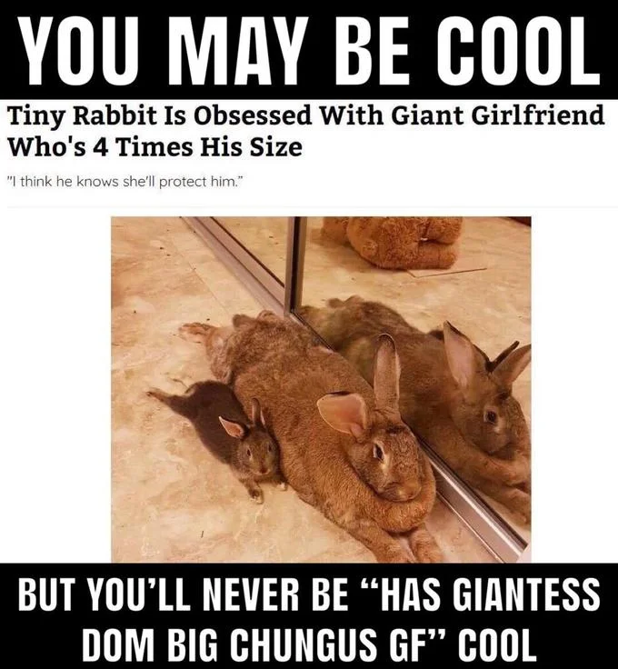 Tiny Rabbit Is Obsessed With Giant Girlfriend — You may be cool meme format with the tiny rabbit giant girlfriend article