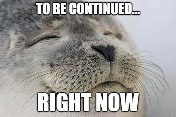 Close-up of skeptical-looking seal or otter with 'TO BE CONTINUED...' caption at top and 'RIGHT NOW' text at bottom.