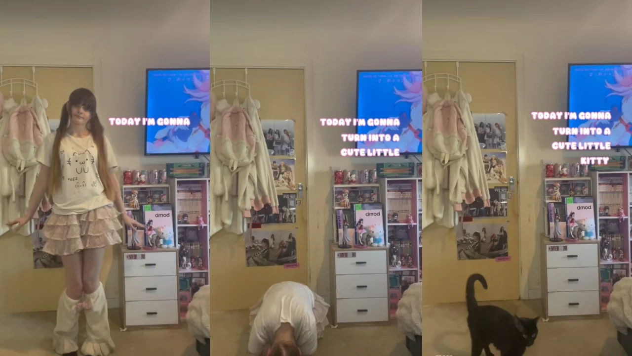 Today I'm Gonna Turn Into A Cute Little X — Three-panel meme showing a woman transforming into a black cat with text 'Today I'm gonna turn into a cute little