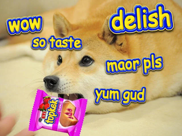 Doge meme with Comic Sans text reacting to an Eti Topkek snack package