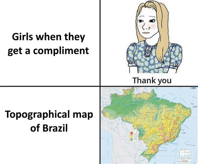Meme panel showing a blushing cartoon girl saying 'Thank you' next to a topographical map of Brazil.