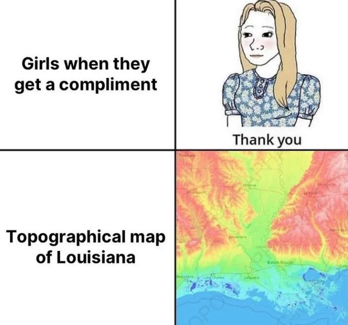 Topographical Map of Brazil — Meme panel with the compliment Wojak above a colorful topographical map of Louisiana.