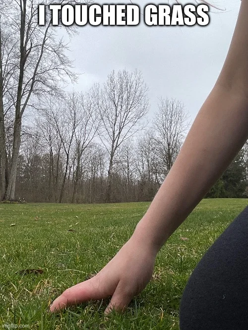 Touch Grass — Hand touching vibrant grass in outdoor field with text 'I touched grass.'