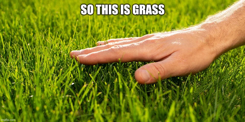 Touch Grass — Hand gently touching vibrant green grass with white impact text 'So this is grass.'