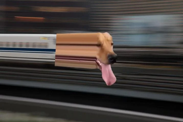 Train Dog head edited onto a Japanese bullet train speeding down the tracks