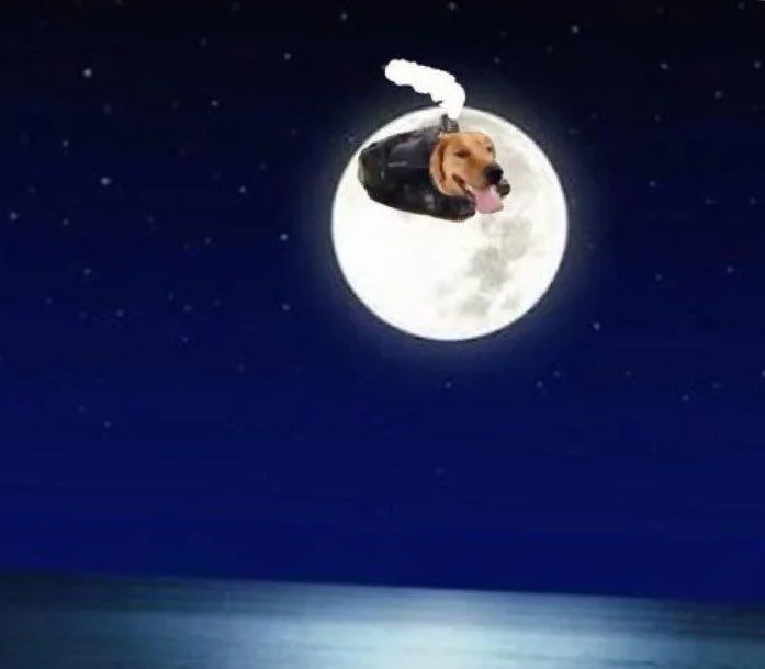 Train Dog composited over a full moon in a DreamWorks-style logo parody