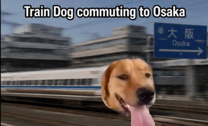 Train Dog commuting to Osaka meme with Shinkansen and Osaka road sign