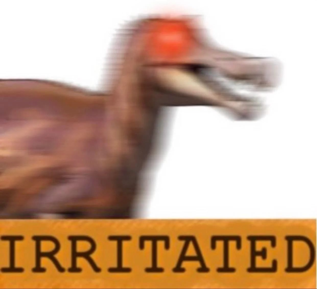 Blurry pterosaur with 'IRRITATED' banner parodying the Triggered meme