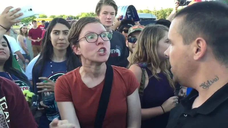 Understanding Triggered Feminist 2