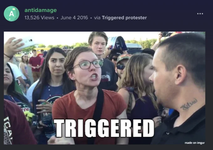Triggered Feminist  2 — Woman with glasses and short hair wearing a red shirt appearing angry and confrontational in a crowd, with 'TRIGGERED' in bold white