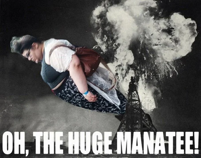 Photoshop of Trigglypuff into Hindenburg disaster with caption Oh The Huge Manatee
