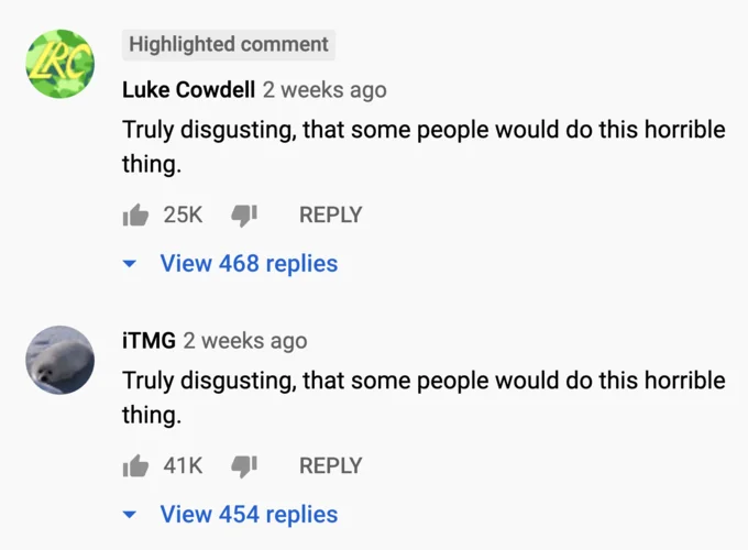 Truly Disgusting That Some People Would Do This Horrible Thing — YouTube comments from Luke Cowdell and iTMG with 25K and 41K likes spreading copypasta.