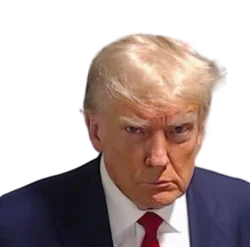 Clean portrait version of Trump mugshot with serious expression.