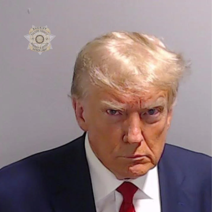 What is Trump Mugshot