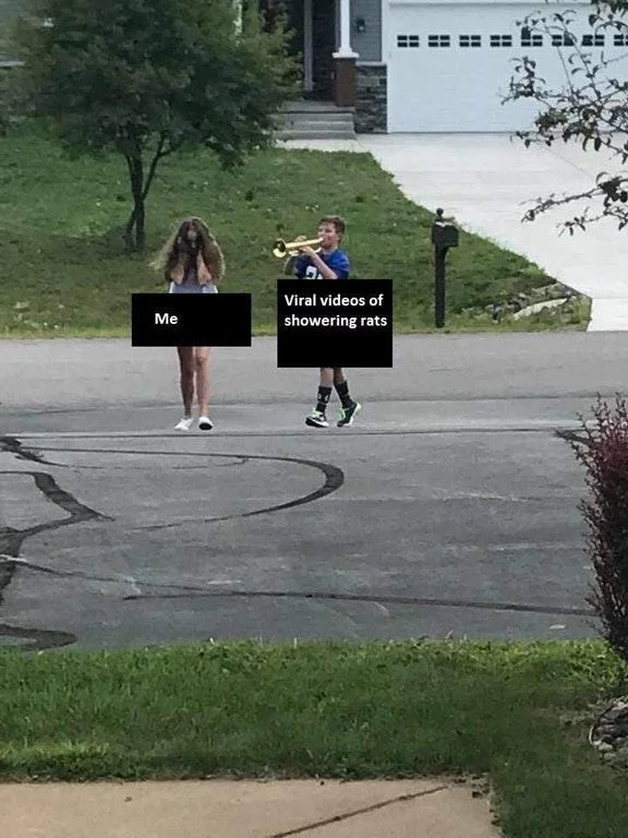 Trumpet Boy meme labeled 'Me' annoyed by 'Viral videos of showering rats'