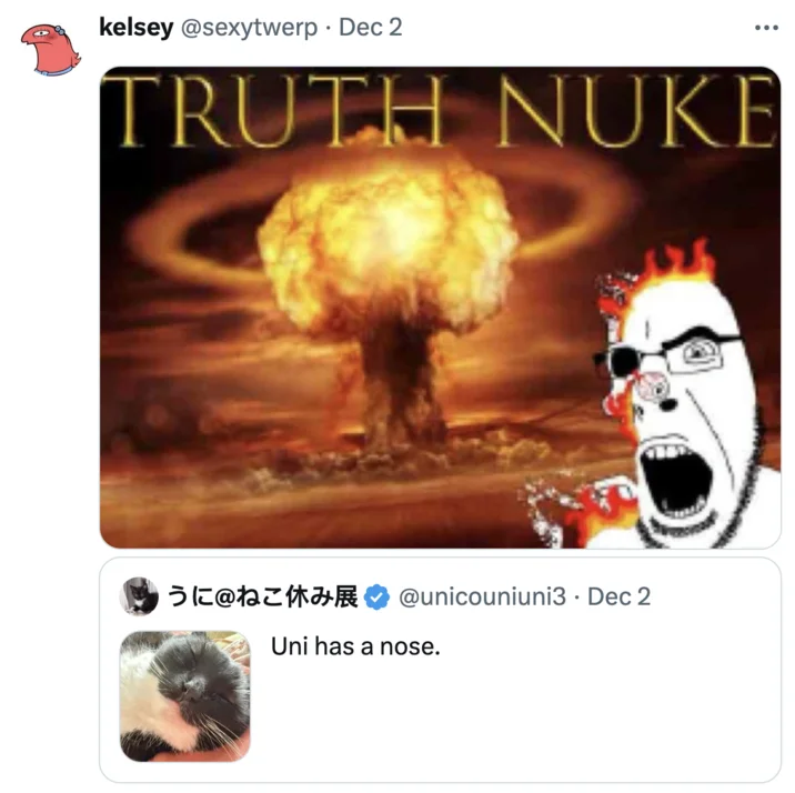 Humorous Truth Nuke meme with ironic observation