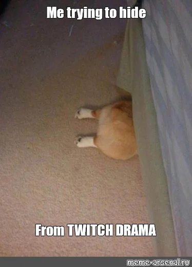 Dog peeking under door with text about hiding from Twitch drama.