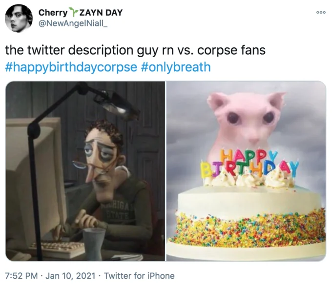 Twitter Description Guy — Coraline Dad versus creepy cat with birthday cake showing contrasting reactions.