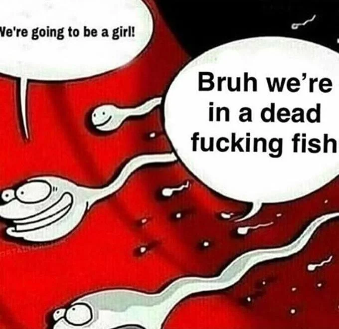 Two Sperm Cells Talking — Sperm cells cartoon edited with dead fish punchline