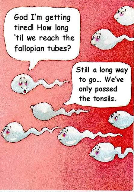 Two Sperm Cells Talking — Portrait version of the two sperm cells cartoon with the tonsils punchline