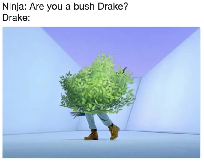 Meme of a person in a bush costume captioned 'Ninja: Are you a bush Drake?'