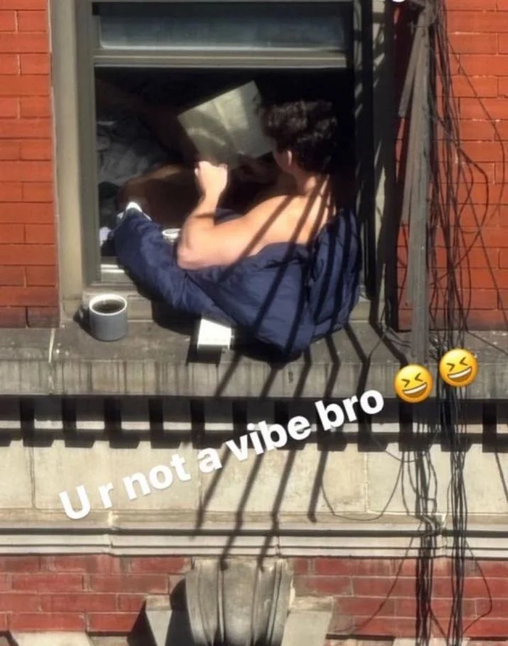 Cropped meme showing man reading in window with only the 'U r not a vibe bro' caption and emojis.